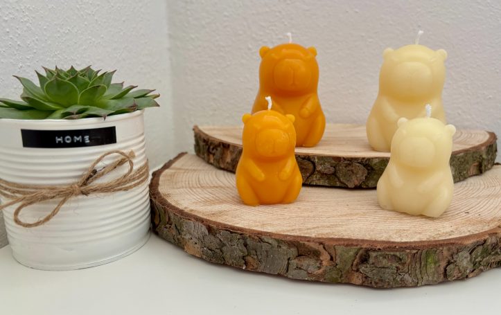 Capybara - oder Wasserscheinkerzen 